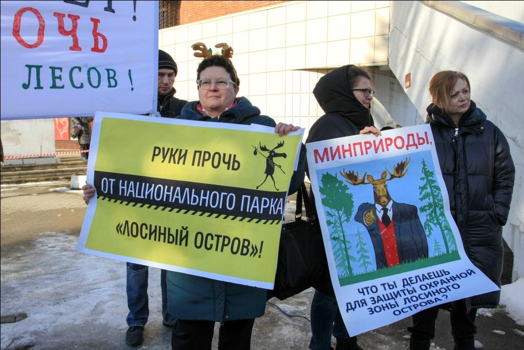 Лосиный остров. Суд отложен. Вызваны эксперты.